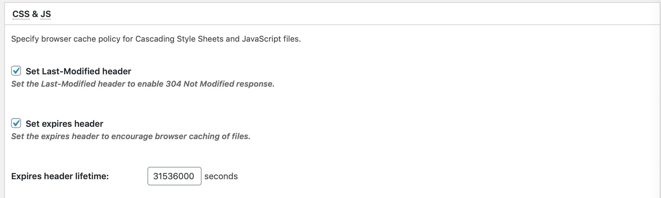 CSS and JS settings on W3 Total Cache