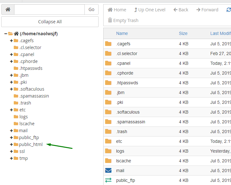 Host's root directory shown in the File Manager