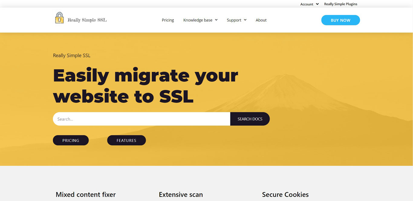 Really simple ssl image