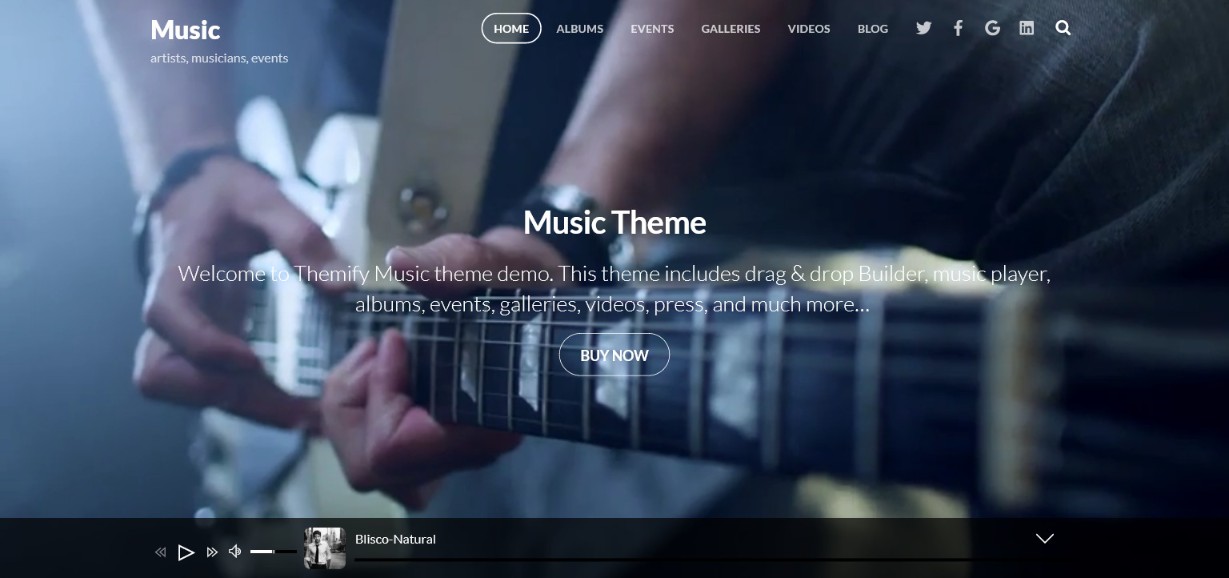 Music Themify Theme Demo