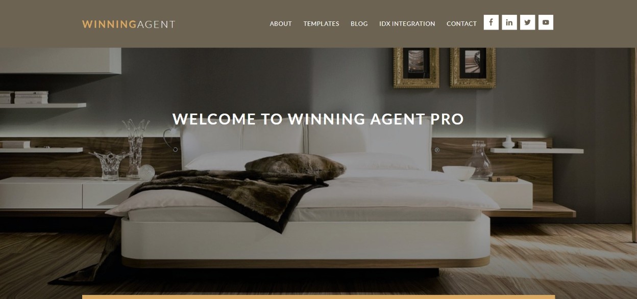 Winning Agent Pro theme demo