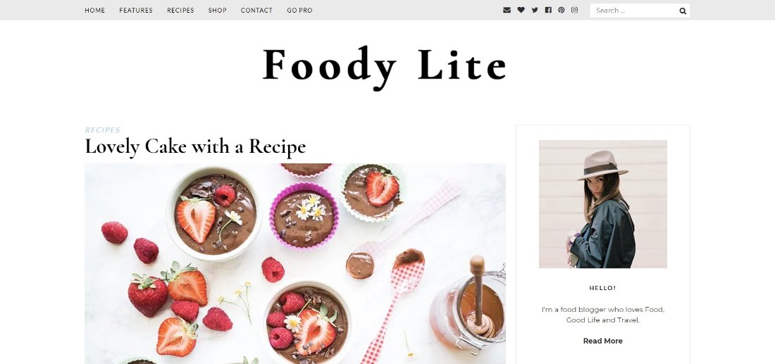 Foody Lite template