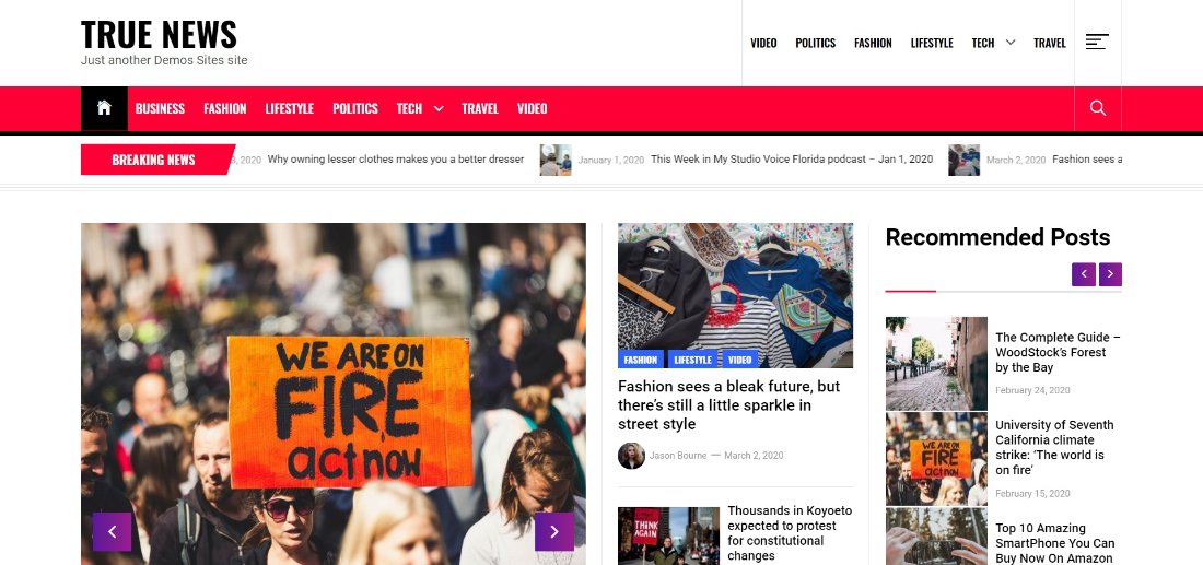 True News wordpress free theme demo