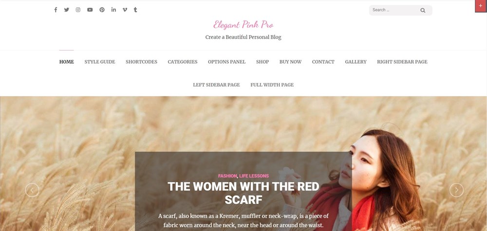 Elegant pink pro WordPress theme