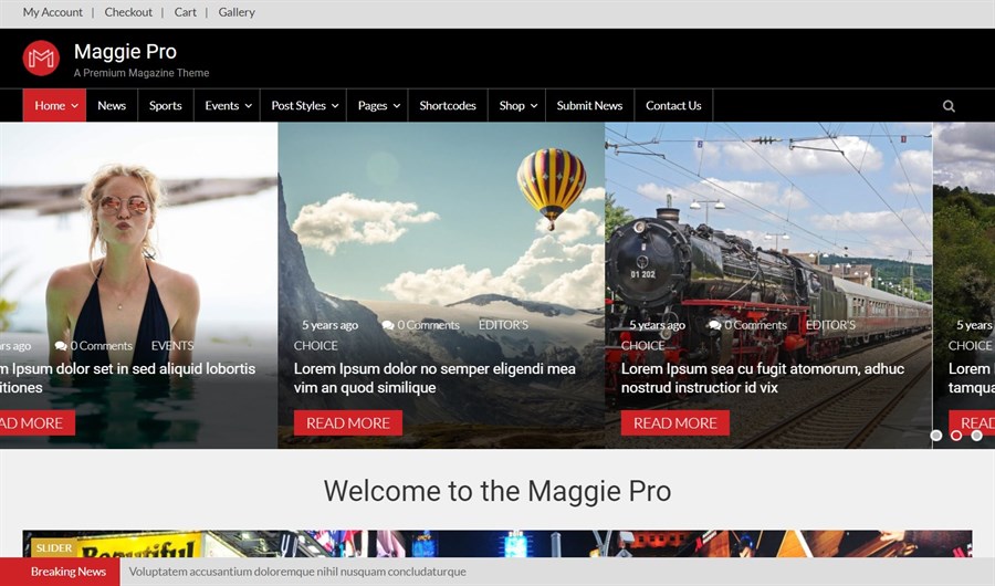 Maggie Pro Magazine Theme demo