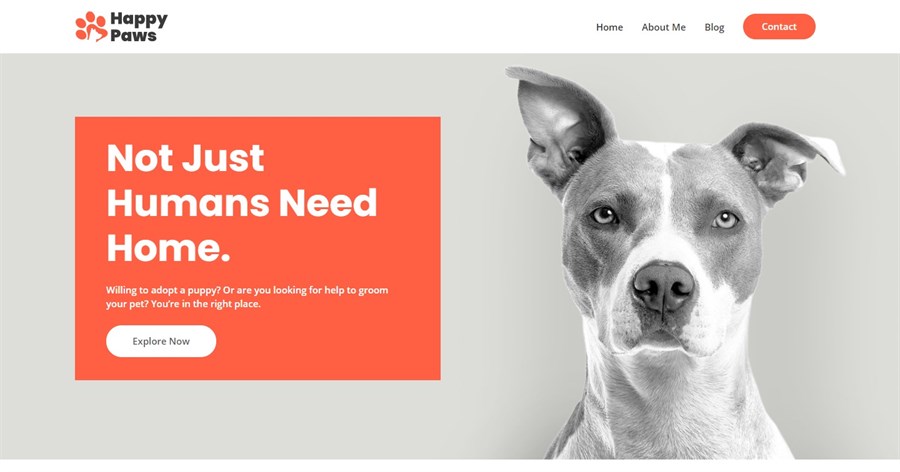 Pet Care demo template