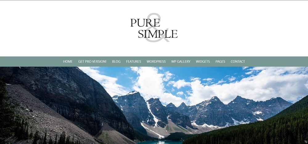 Pure & Simple Free WordPress theme