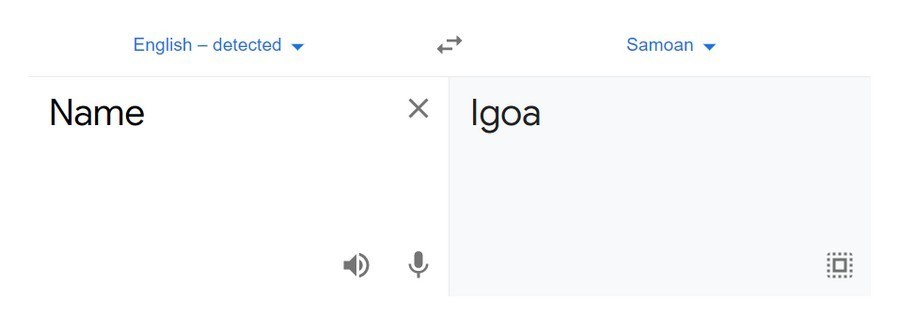 google translate