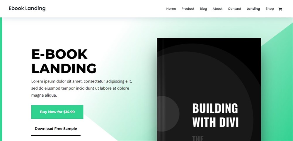 Ebook Landing divi theme