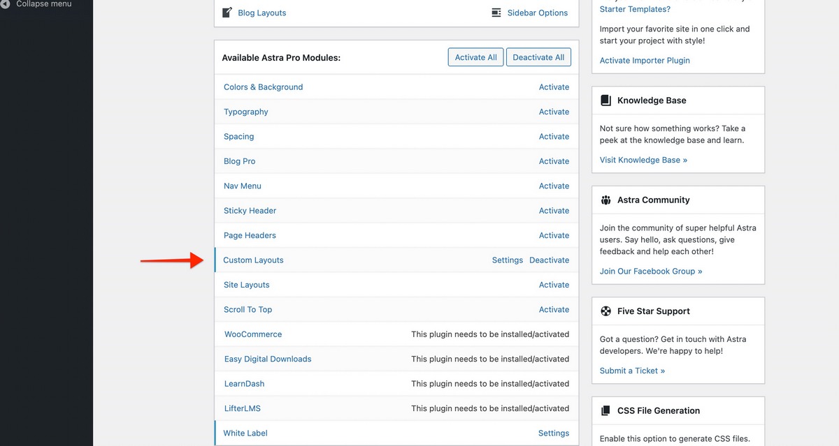 Astra Pro Activate Custom Layouts Addon