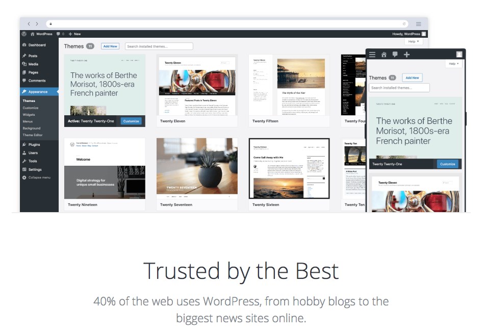 WordPress themes