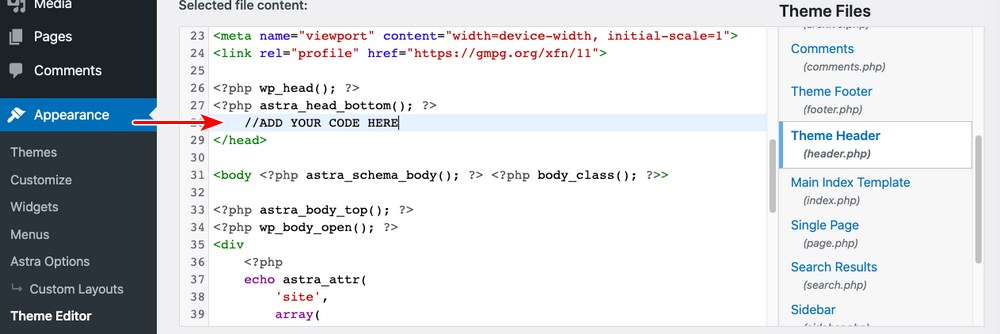 add code to theme header