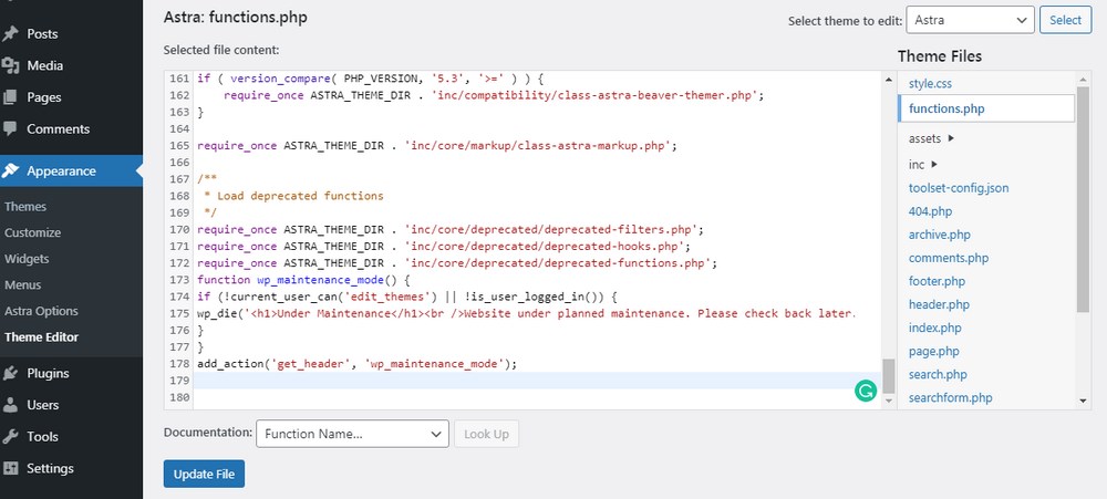 Edit theme function php file