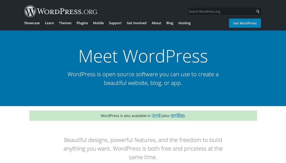 WordPress homepage