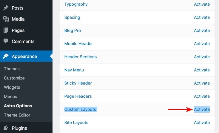 Activate Astra's custom layouts