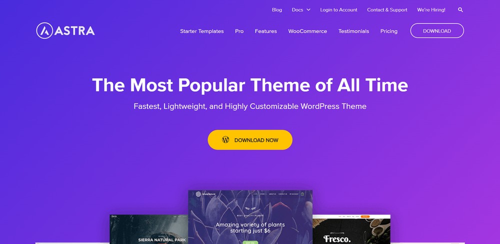 Astra WordPress theme