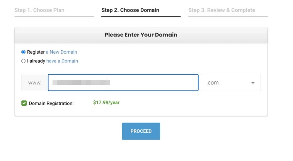 Choosing a domain name for WordPress website