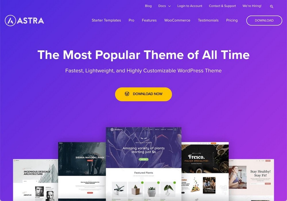 Astra WordPress Theme Homepage