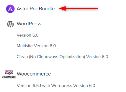 Astra Pro Bundle