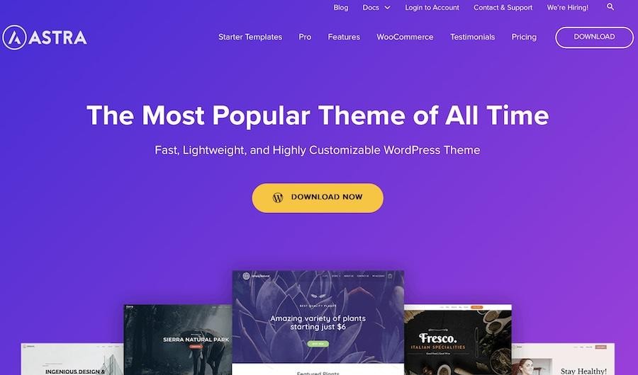 astra wordpress theme